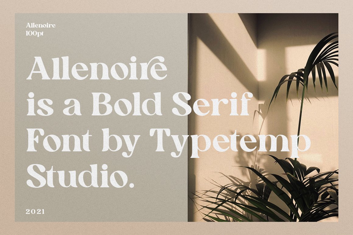 Trendy & Modern Display Fonts - Dealjumbo