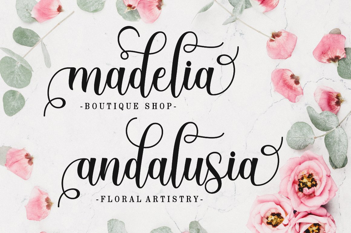 Bold & Retro Script Fonts - Dealjumbo