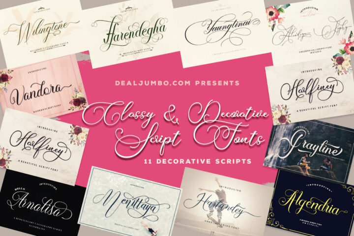 Classy & Decorative Script Fonts