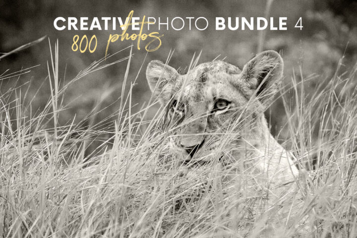 Creative Photo Bundle 4