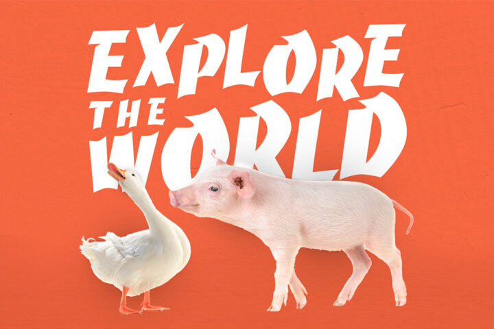 Grumaz – Free Font