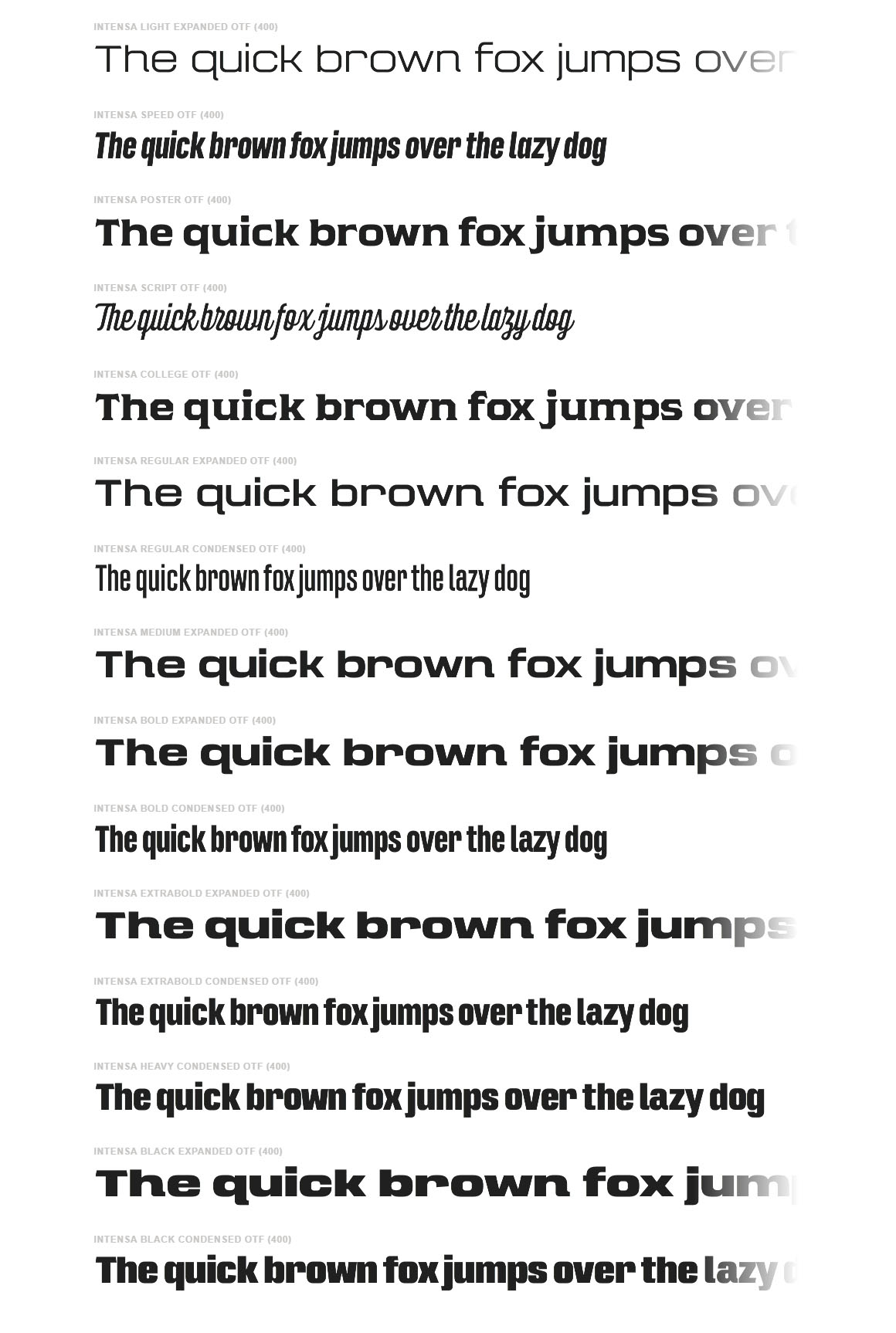 Intensa Font Family - Dealjumbo