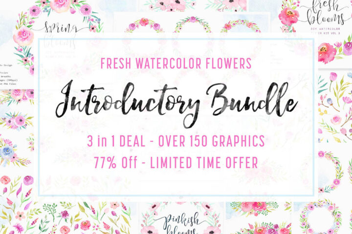 Decorative Watercolor Bundle