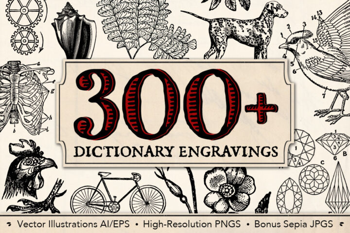 300+ Dictionary Engravings