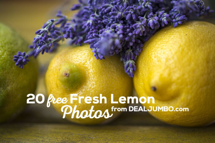 20 Free Lemon Photos
