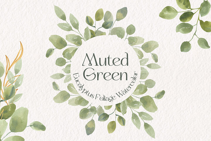 Free Eucalyptus Foliage Illustrations