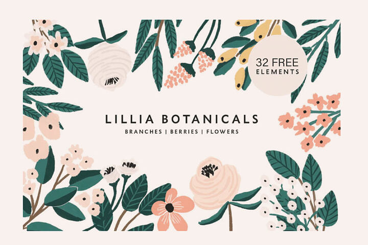 Lillia Free Floral Illustrations