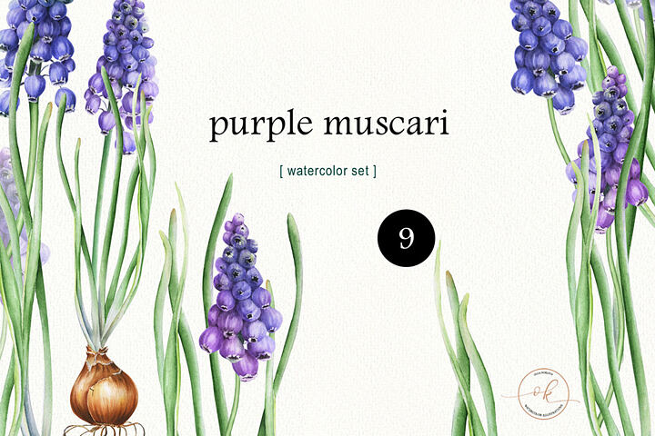 Spring Floral – Free Clipart