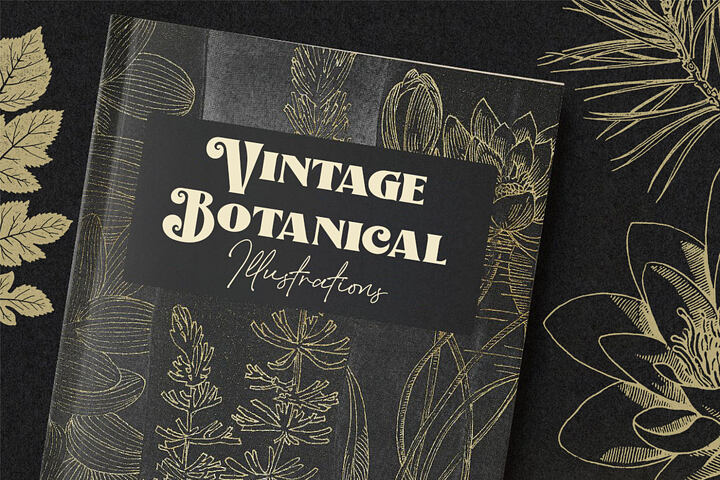 Vintage Botanical Illustrations