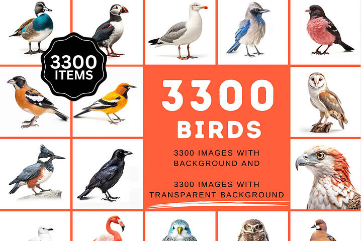 Bird Species – 3300 Images