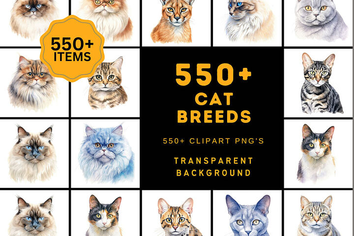 550 Watercolor Cat Breed Images