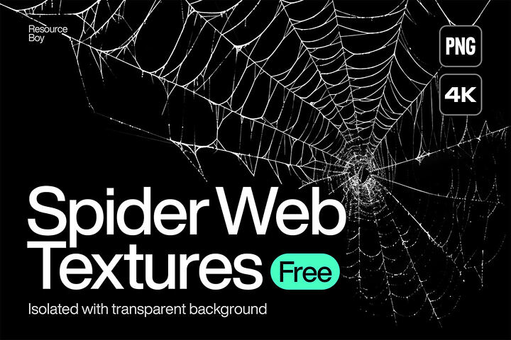 200 Free Spider Web Textures