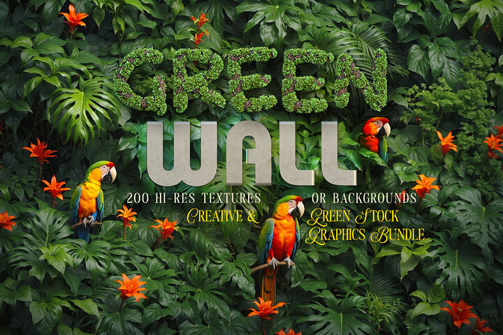 200 Green Wall Frames & Backgrounds