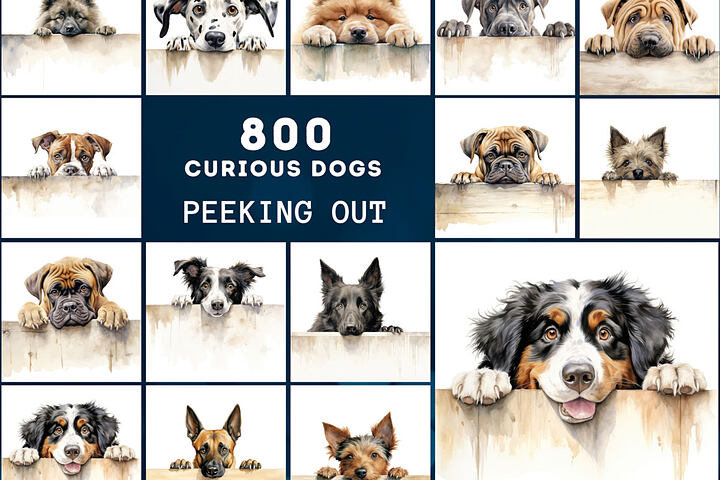 Peek-a-Boo Dog – 800 Stock Images