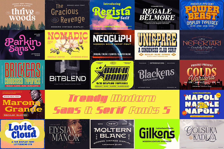 Trendy Modern Sans & Serif Fonts 5