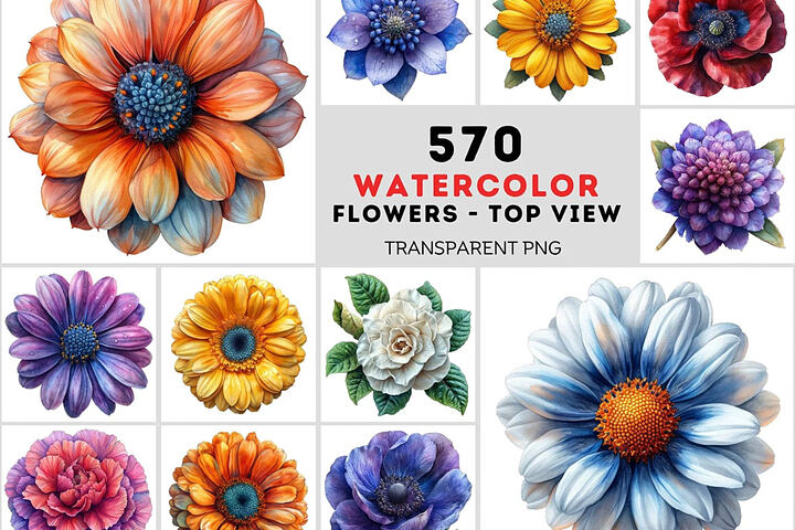 570 Top View Flower Illustrations
