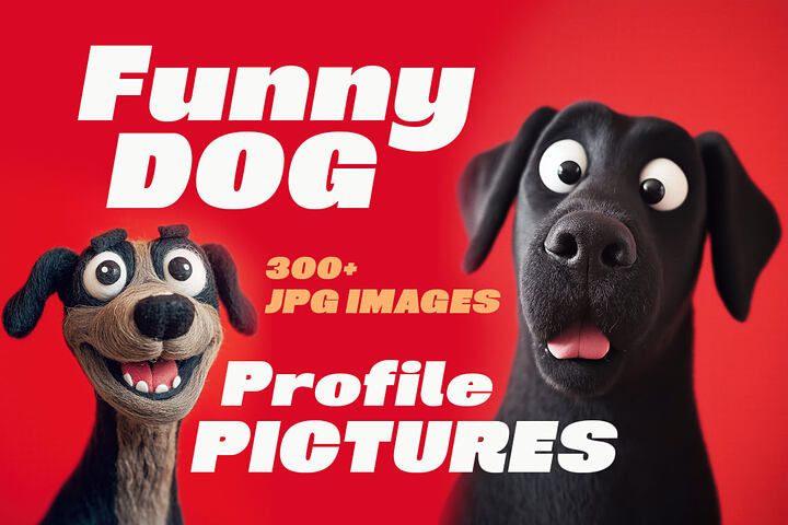 Funny Dog Profile Pictures
