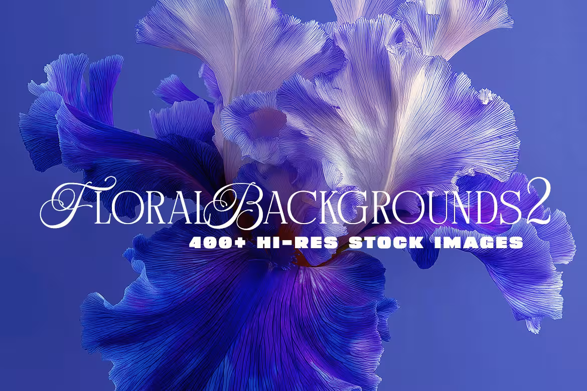 Graphics under $10 includes Extended Licenses Graphics under $10 includes Extended Licenses