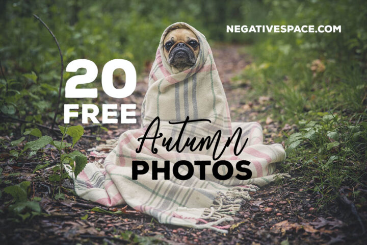 20 Free Autumn Photos Negativespace