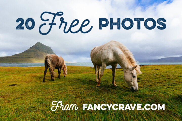 20 Free Photos Fancycrave 3