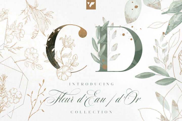 2 Decorative Graphic Collections