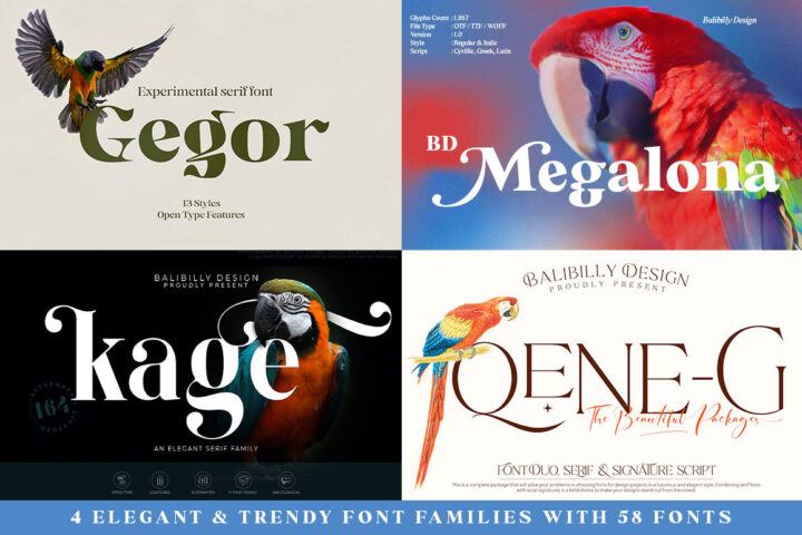 4 Elegant & Trendy Font Families