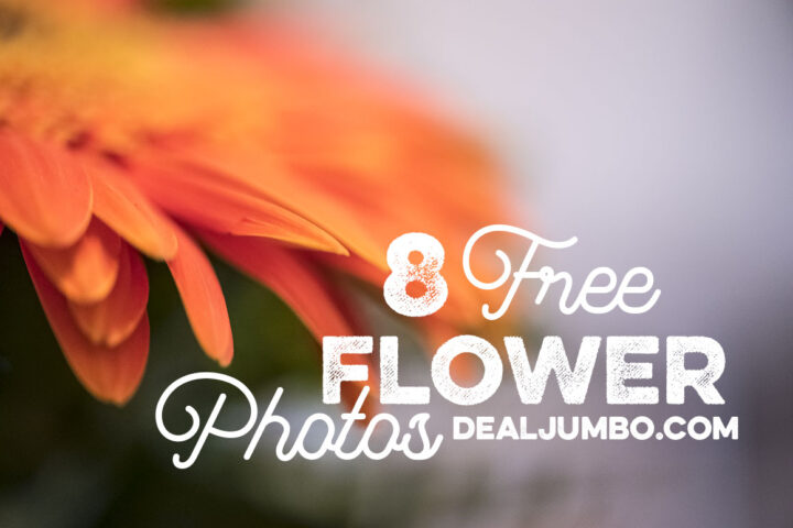 8 Free Flower Photos