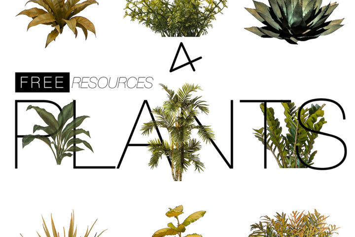 Plants – Transparent PNG