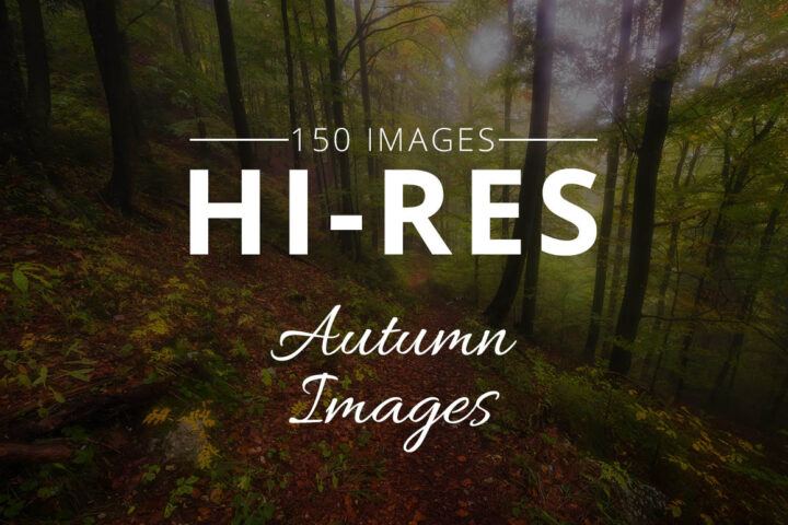 Autumn Photo Bundle 2018
