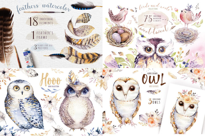 Birds & Feathers Collection