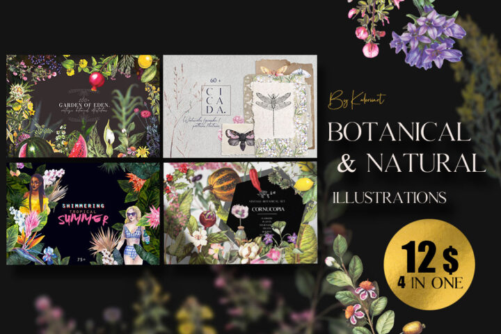 Botanical & Natural Illustrations
