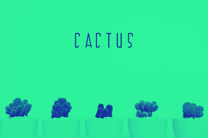 Cactus – Free Font