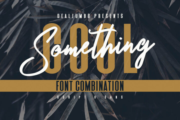 Script & Sans Font Combination