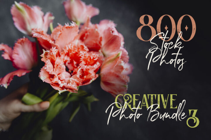 Creative Photo Bundle 3