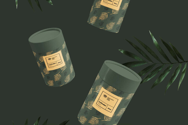 Cylinder Boxes – Free Mockup
