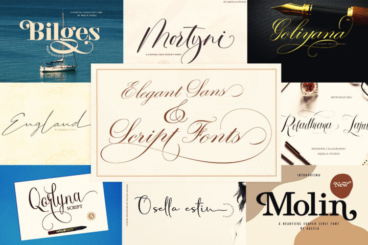 Elegant Sans & Script Fonts