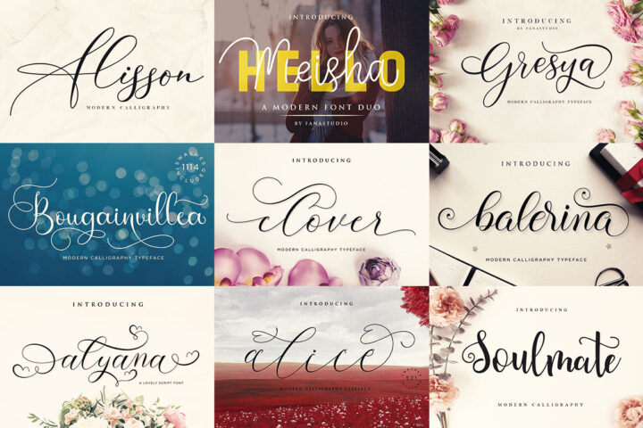 Elegant & Romantic Script Fonts