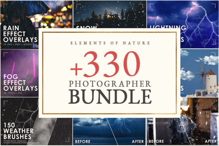 Elements of Nature Photographer Bundle