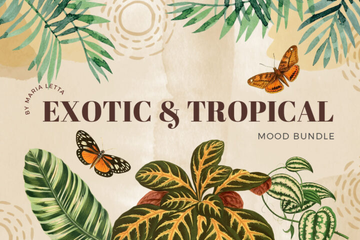Exotic & Tropical Mood Bundle