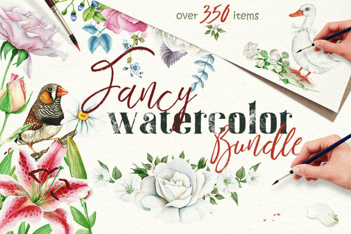 Fancy Watercolor Bundle
