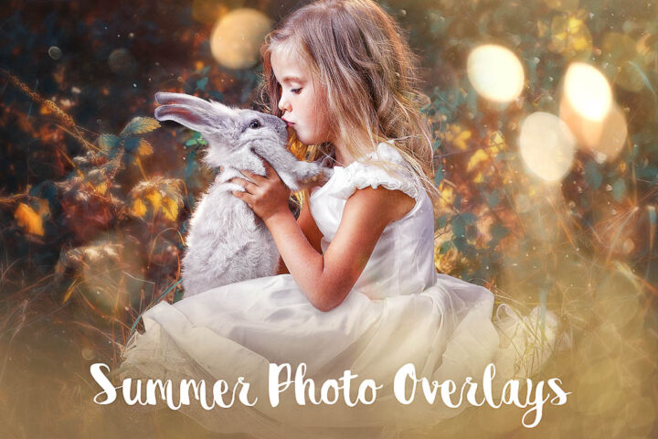 Feels Like Summer Photo Overlays