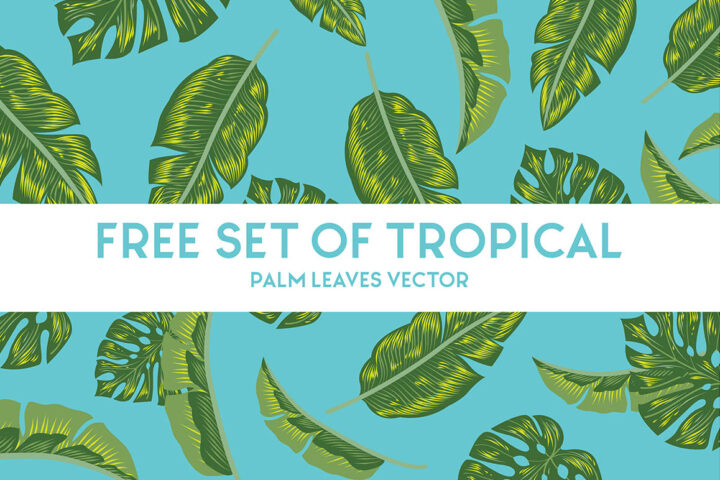 Free Tropical Palm Leaves Vector