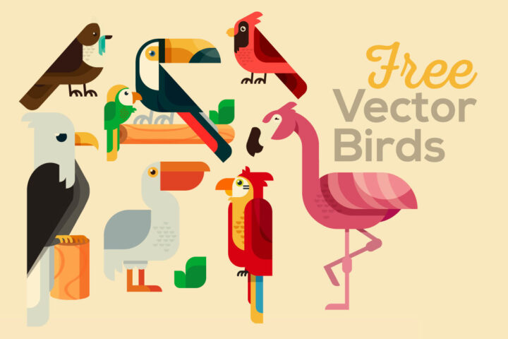 Free Vector Bird Illustrations