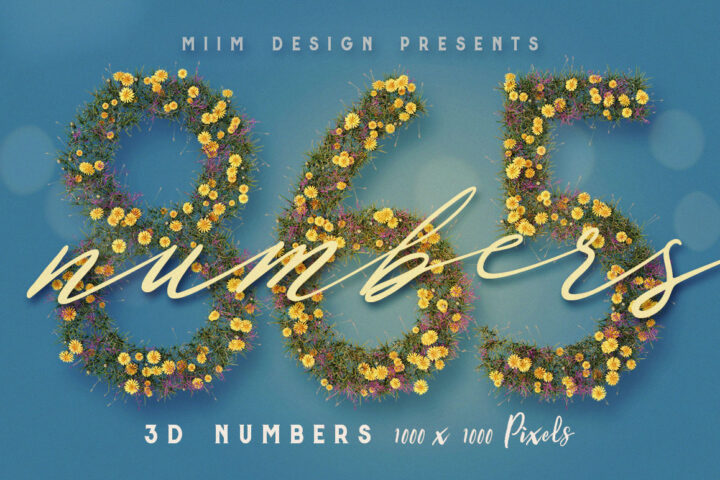 Free Summer Flower Numbers