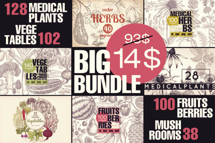 Fruit & Herbs & Vegetables Illustrations