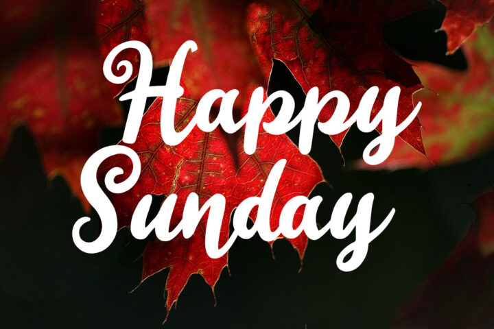Happy Sunday – Free Font