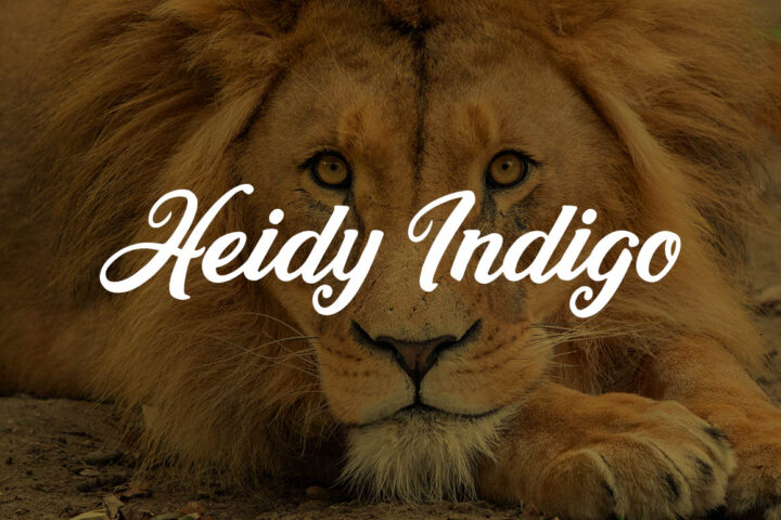 Heidy Indigo – Free Font