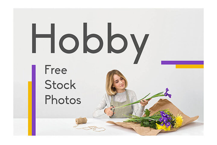 Hobby Free Photo Collection
