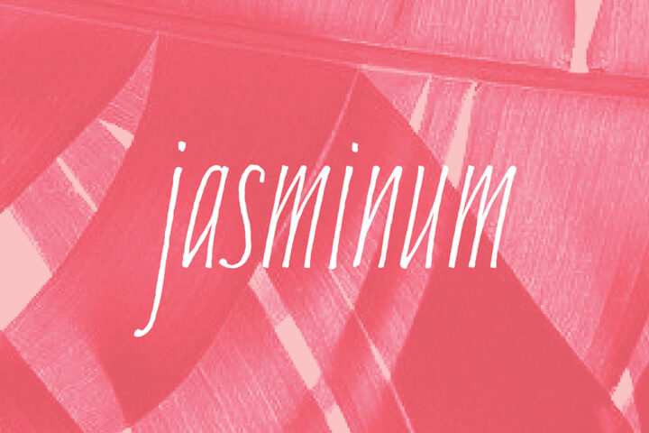 Jasminum – Free Font