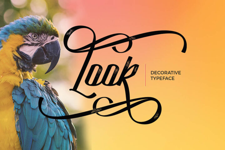 Look Script – Free Font